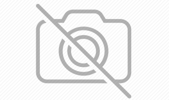 Blog SEO Test - Verification of Keyword Field Logic